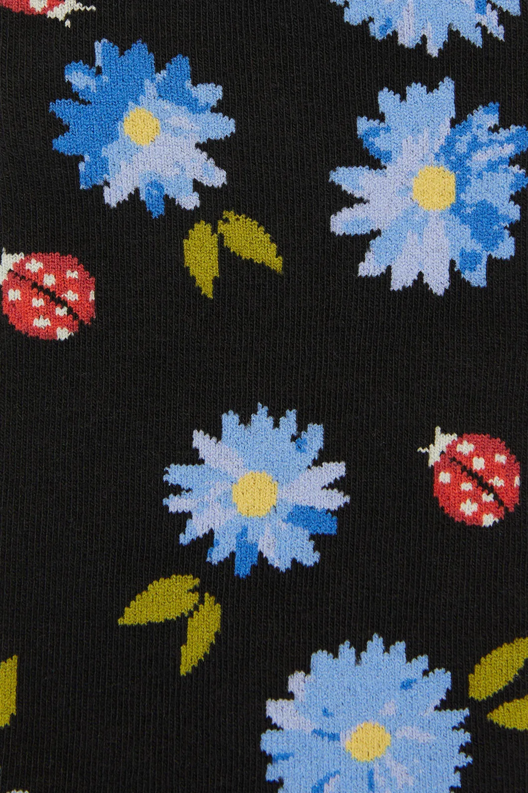 Black Ladybird Sock