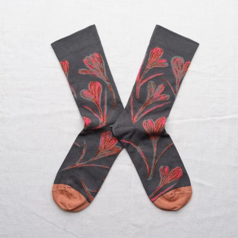 Crocus Socks