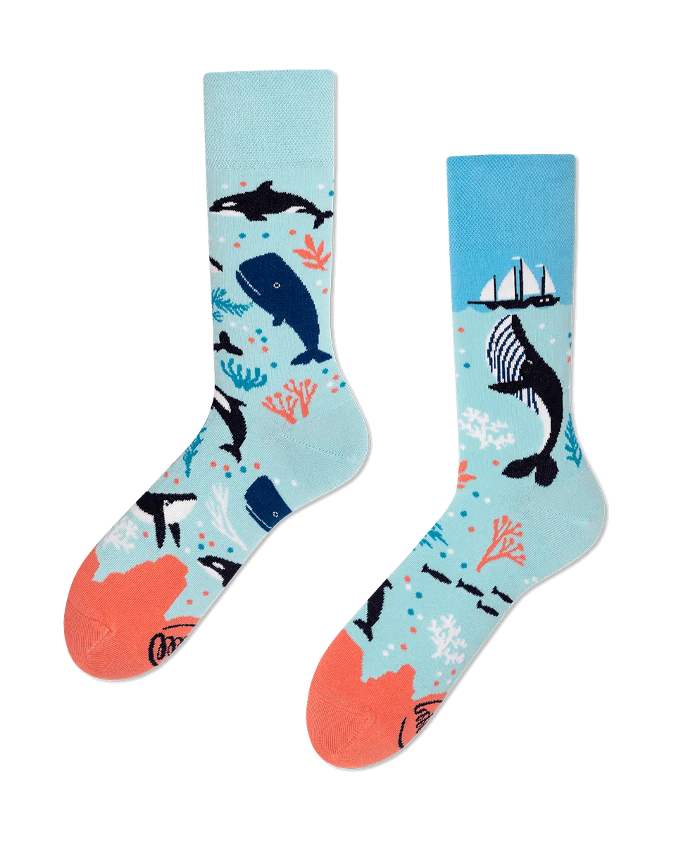 Ocean Life Socks