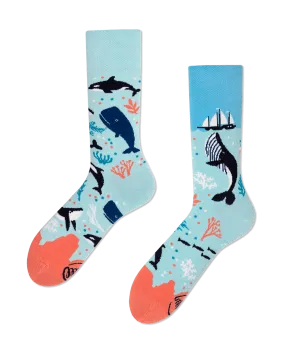 Ocean Life Socks