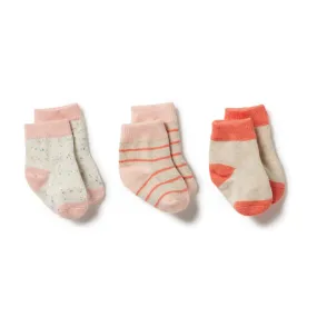 Organic 3 Pack Baby Socks, Silver Peony-Oatmeal-Coral